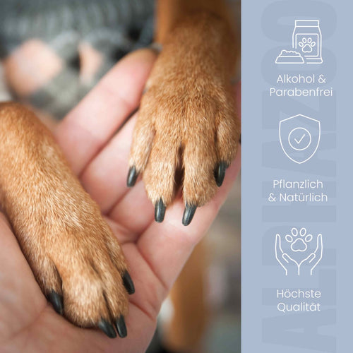 Big Paw-ty paw care for dogs