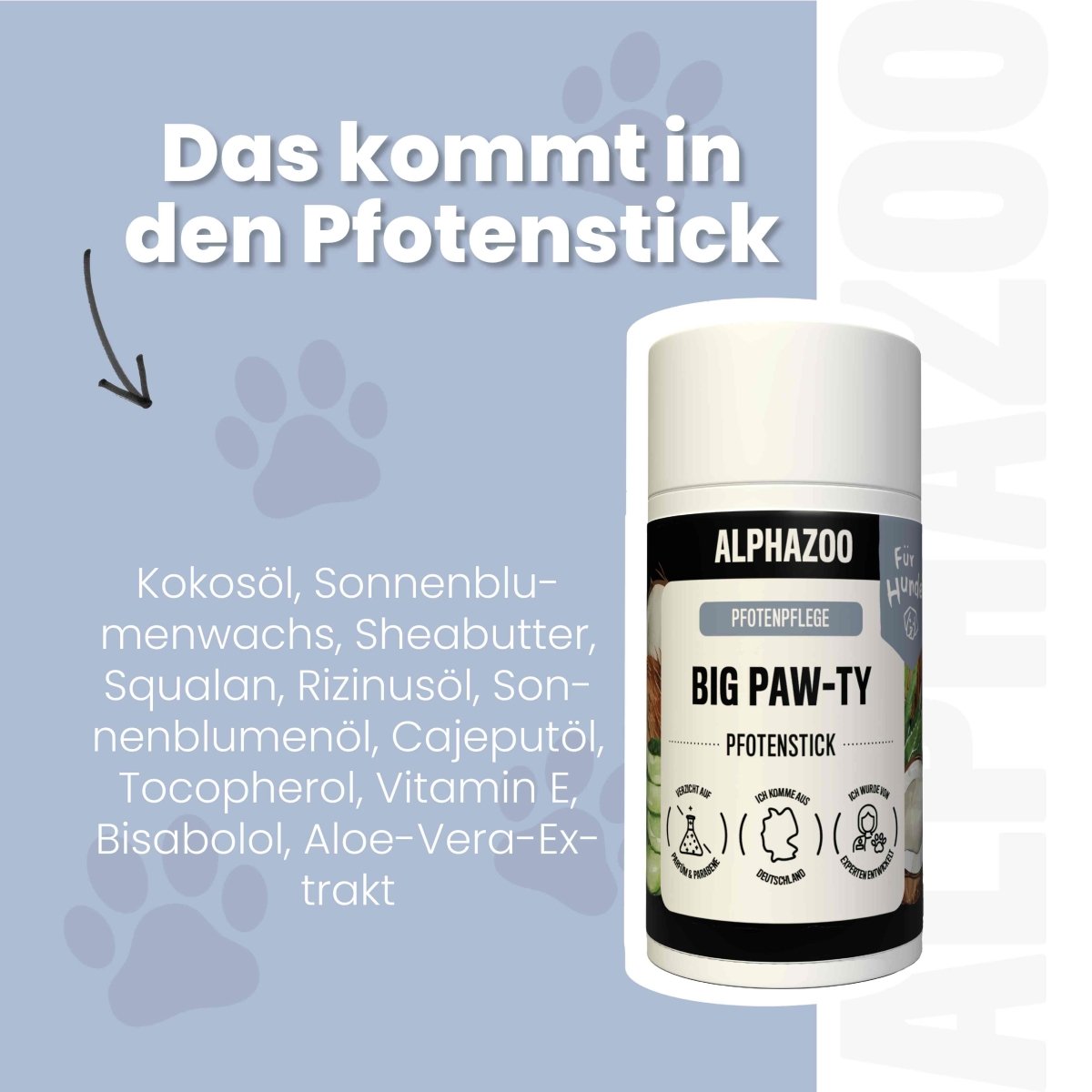 Big Paw-ty paw care for dogs