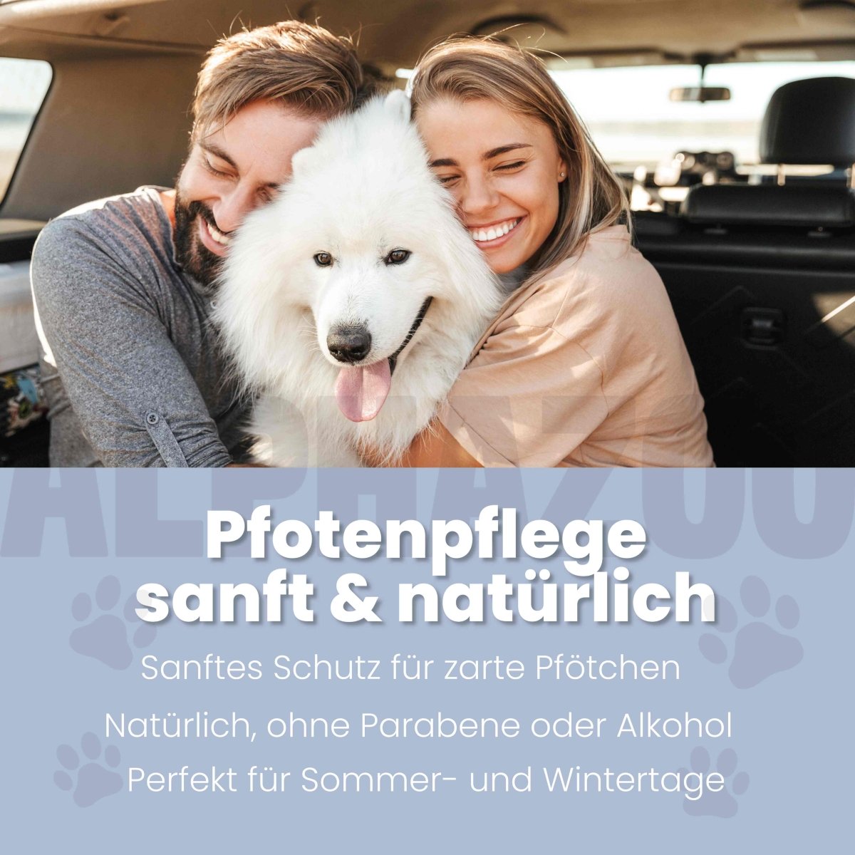 Big Paw-ty paw care for dogs