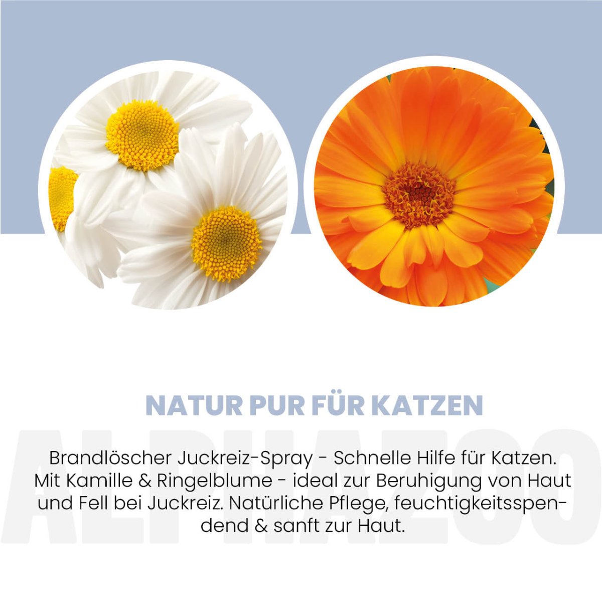 Feuerlöscher Anti-Juckreiz-Spray für Katzen