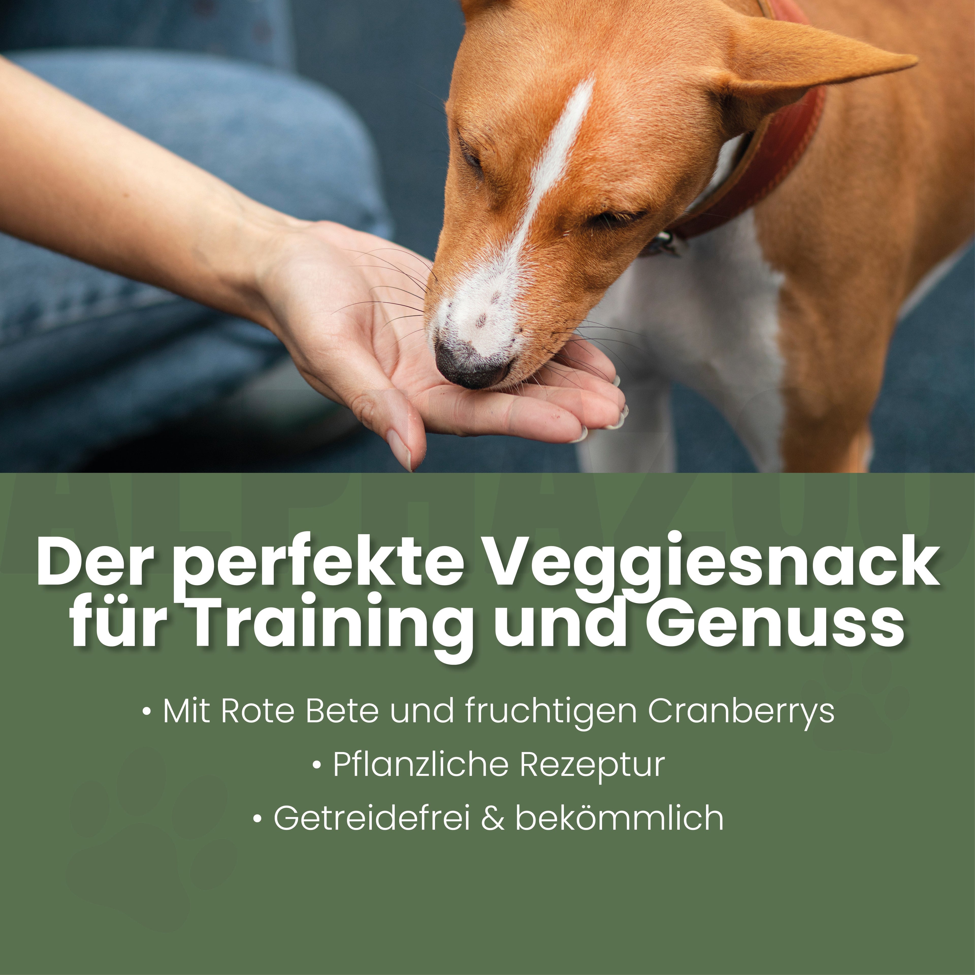 Es wird nicht grüner als das hier.