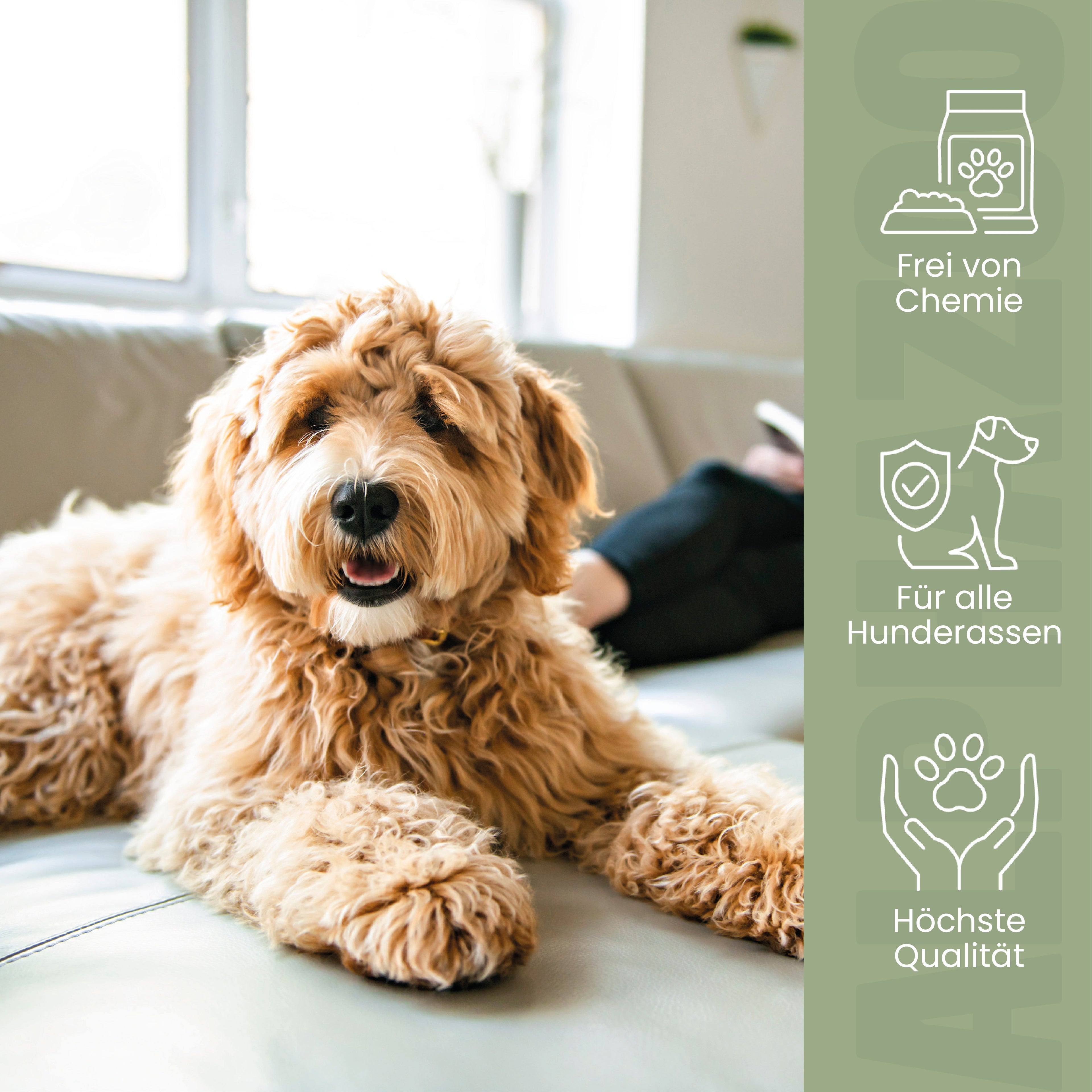 Calmness Tablets for Dogs
