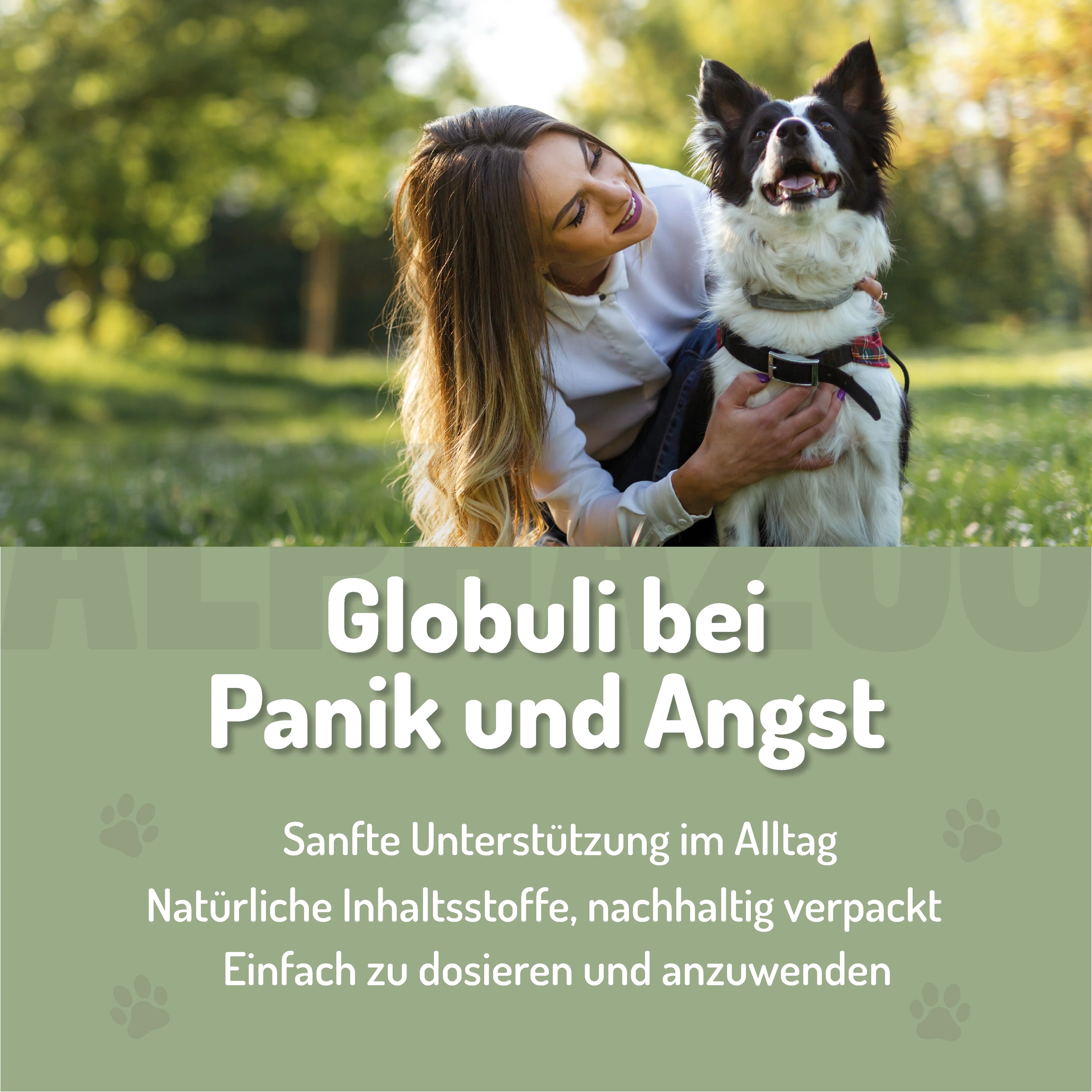 Panic Stop Bach Flower Remedies