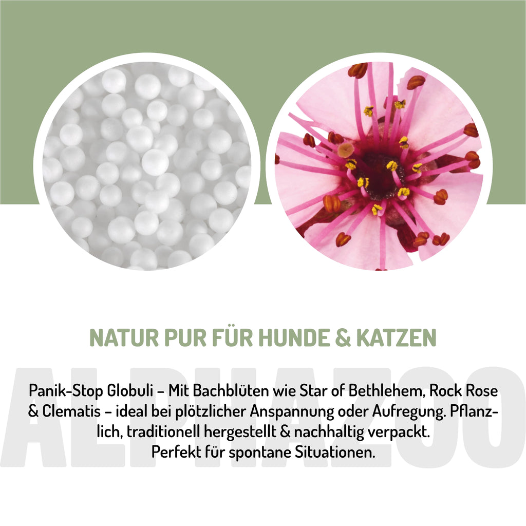 Panic Stop Bach Flower Remedies
