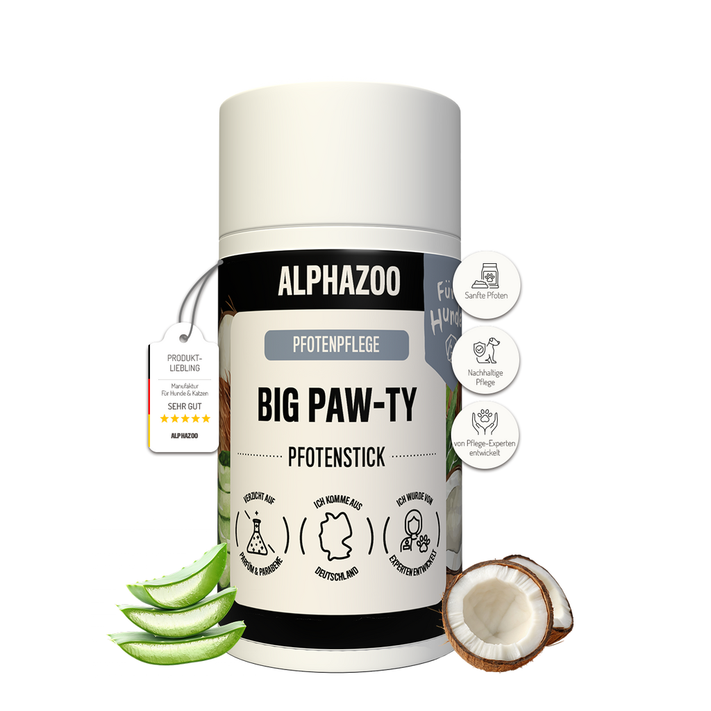 Big Paw-ty paw care for dogs