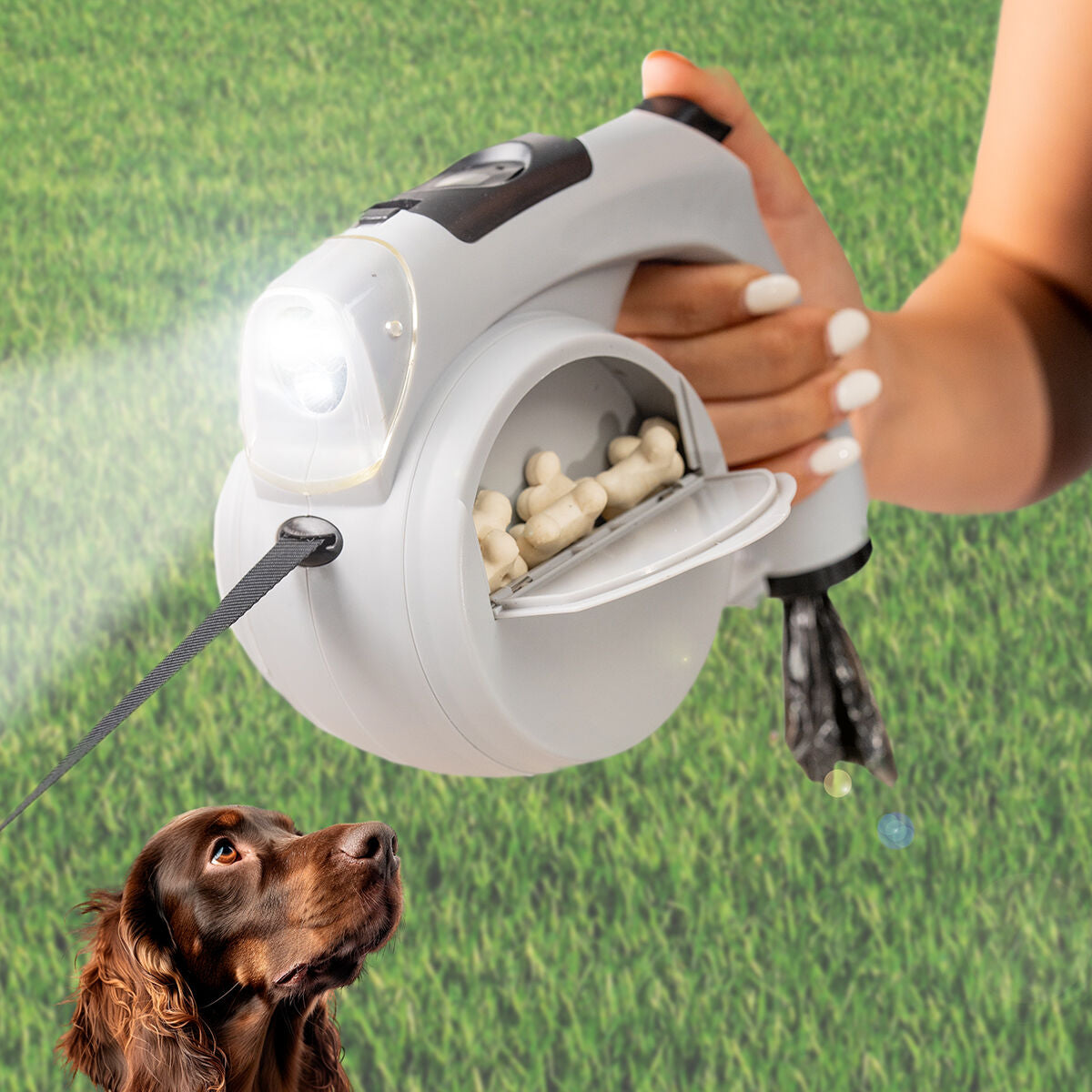 6-in-1 einziehbare Hundeleine Leashic InnovaGoods